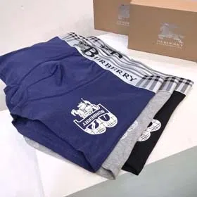 burberry Men's stylish solid color printed large logo breathable boxer briefs Underwear Shorts 3pcs-2419