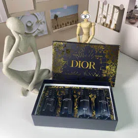 Dior Gold Box Wilderness Medium 4-piece Set-3448