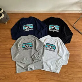 Patagonia classic mountain range graphic crewneck T-shirt-5606