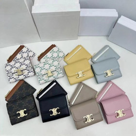 Celine new flap wallet with detachable money clip-5824