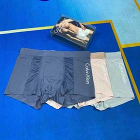 CK underwear-2473