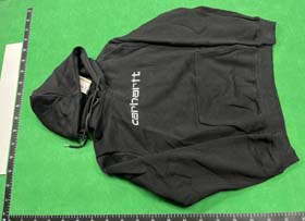 carhartt hoodie-2563